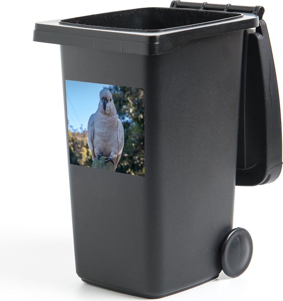 MuchoWow Mülltonnenaufkleber Ein weißer Kakadu schaut direkt in die Kamera 40x40 cm - Abfall-Aufkleber - Container - für Abfallcontainer