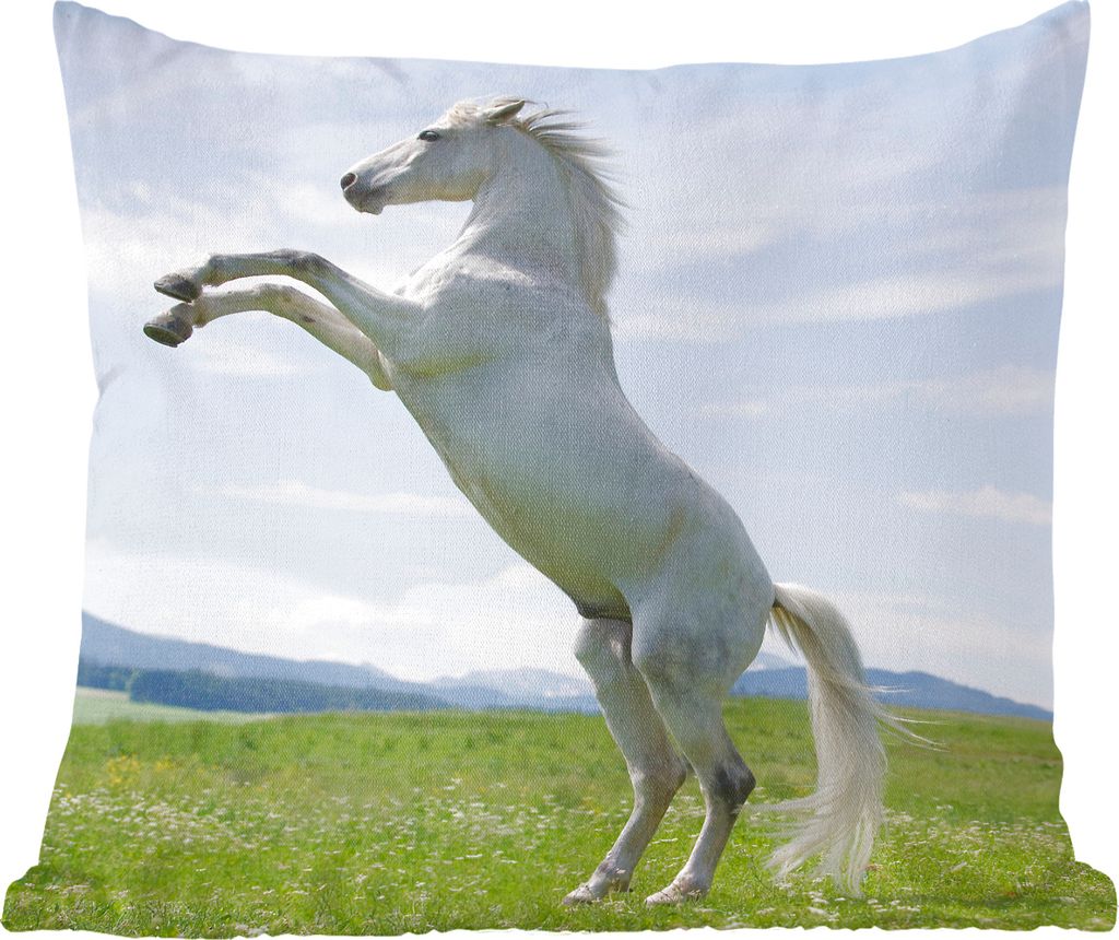 MuchoWow Zierkissen Sofakissen Wohnzimmer Dekokissen 60x60 cm Pferd - Aufzucht - Natur - Sitzfläche - Foto Polster