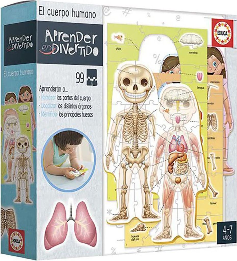 Educa Borras - Premium Akcesorium The Human Body w Motywie Hiszpaskim
