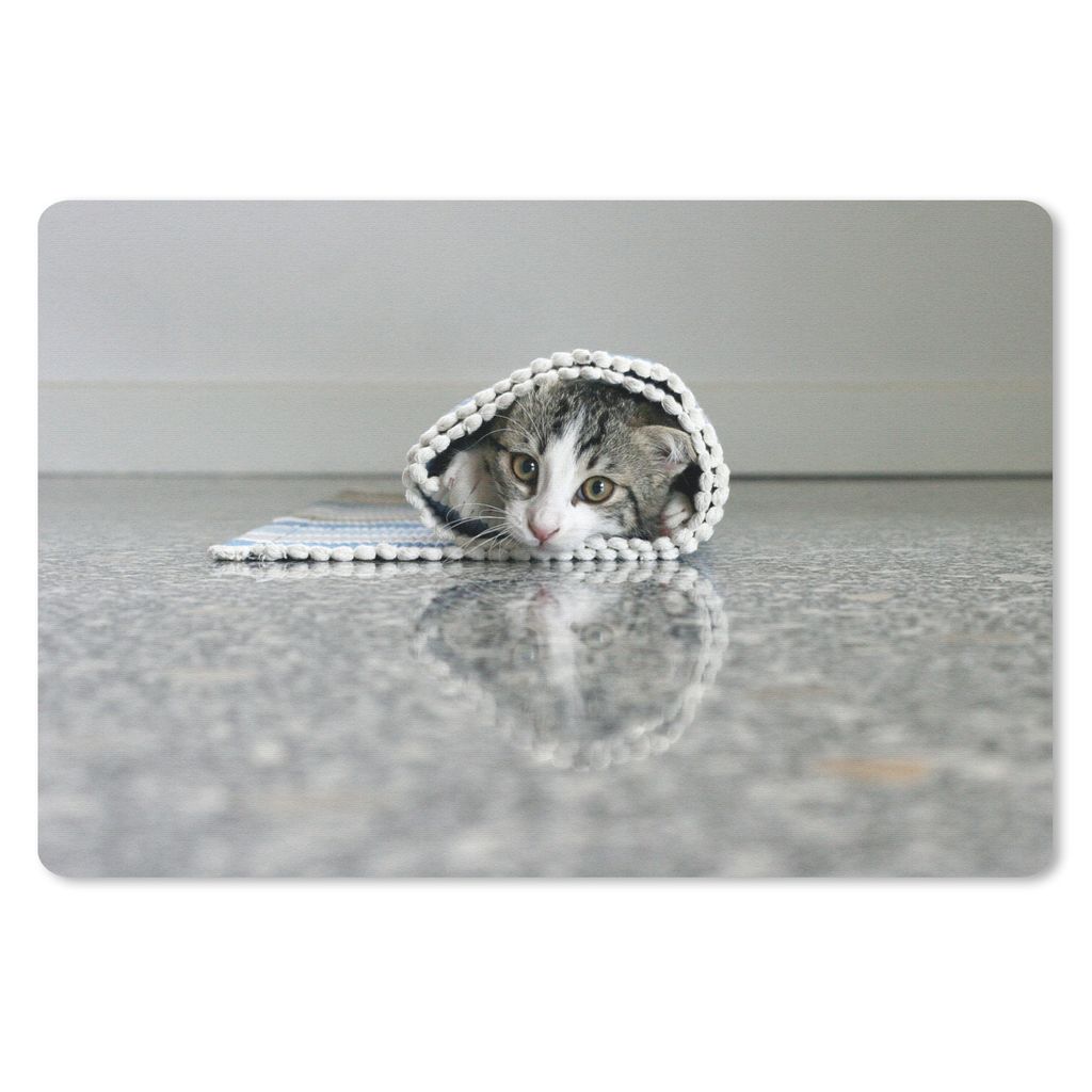 MuchoWow Schreibtischunterlage Katze - Teppich - Boden 60x40 cm - XXL Mauspad - Großes Mauspad