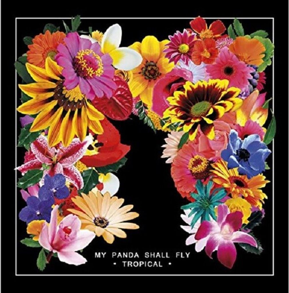 My Panda Shall Fly-Tropical