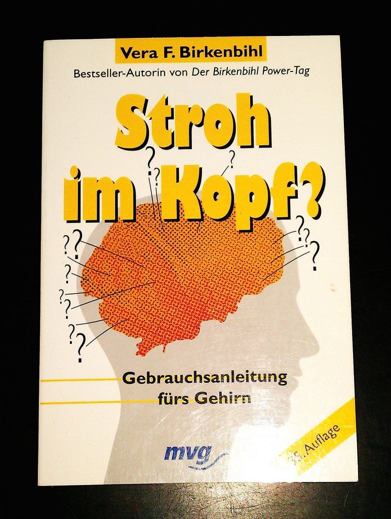 Stroh im Kopf? : Gebrauchsanleitung fürs Gehirn | Vera F. Birkenbihl