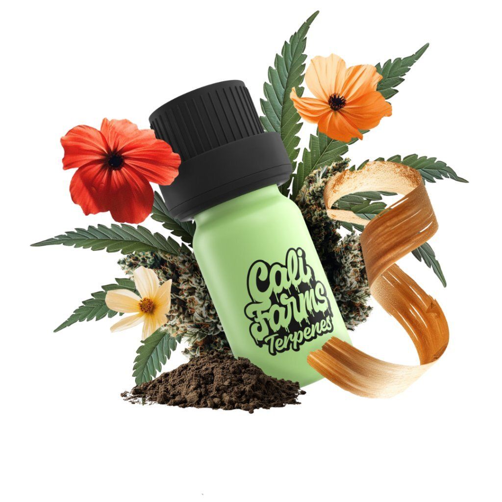 Konopne terpeny Botanicals | PROFIL TERPENOWY - AK-47 | 1 Zdjęcie produktu 