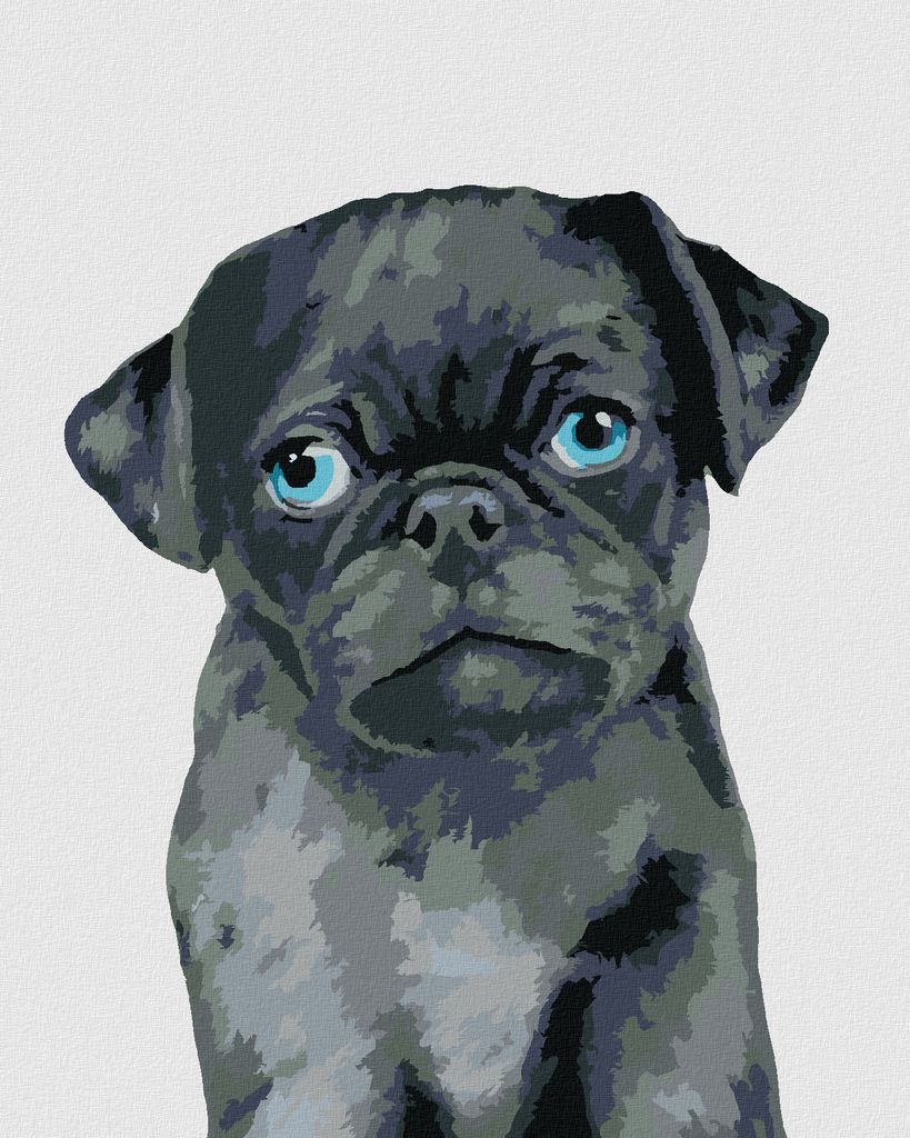 Zuty - Malen nach Zahlen - MOPS (MYROSLAVA VOLOSCHUK), 40x50 cm, mit Keilrahmen (bereits gespannt)