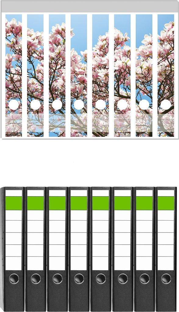Wallario 8 Stück schmale Ordner inkl. Klebeetiketten mit Motive Schöne rosa Magnolien-Blüten vor blauem Himmel - Set mit Rückenschildern / Ordn...