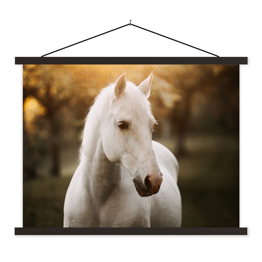 MuchoWow Textilposter Pferd - Sonne - Herbst - Tiere - Natur 60x45 cm mit schwarzem Rahmen - Poster Schlafzimmer
