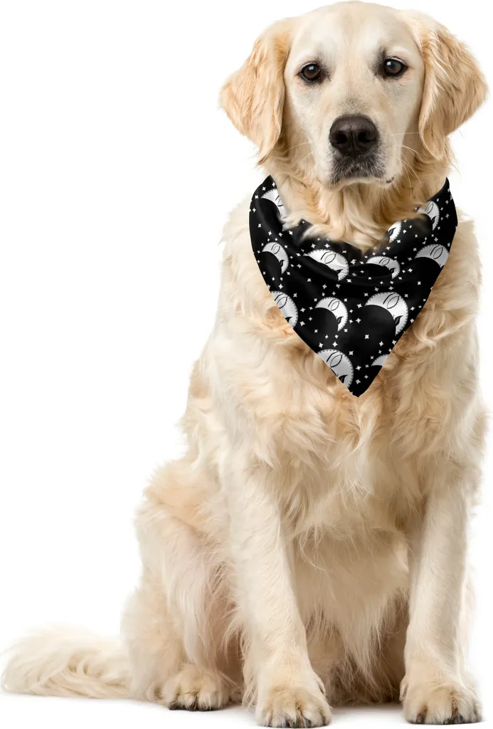 Specifiche Bandana ABAKUHAUS 40x40 cm Poliestere Grigio Antracite