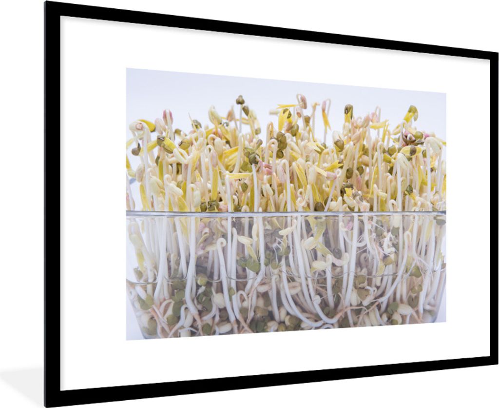 MuchoWow Gerahmtes Poster Bohnensprossen in einer Glasschale vor einem weißen Hintergrund 90x60 cm - Poster mit Schwarzem Bilderrahmen Wandposte...