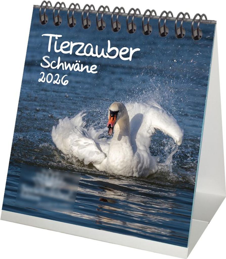 Tierzauber Schwäne Tischkalender 10cm x 10cm für 2026 Enten - Seelenzauber