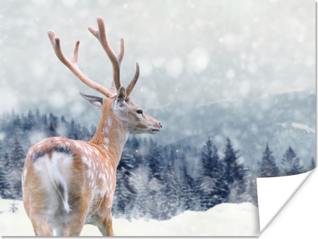 MuchoWow Poster Rotwild - Schnee - Tier 160x120 cm - Foto Plakat