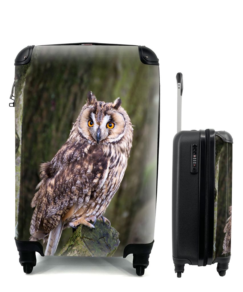 MuchoWow Koffer Handgepäck Trolley Rollkoffer Kleine Reisekoffer mit 4 Rollen - Eule - Nahaufnahme - Baum - Cabin Size < 55x40x23 cm & 55x40x20 ...
