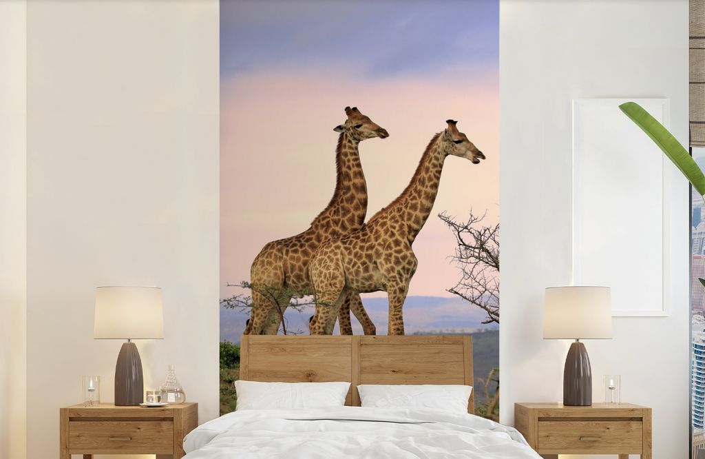 MuchoWow Fototapete für Wohnzimmer oder Schlafzimmer Wandtapete Vinyl Motivtapete Giraffen - Himmel - Landschaft - 120x240 cm - Hintergrundbild