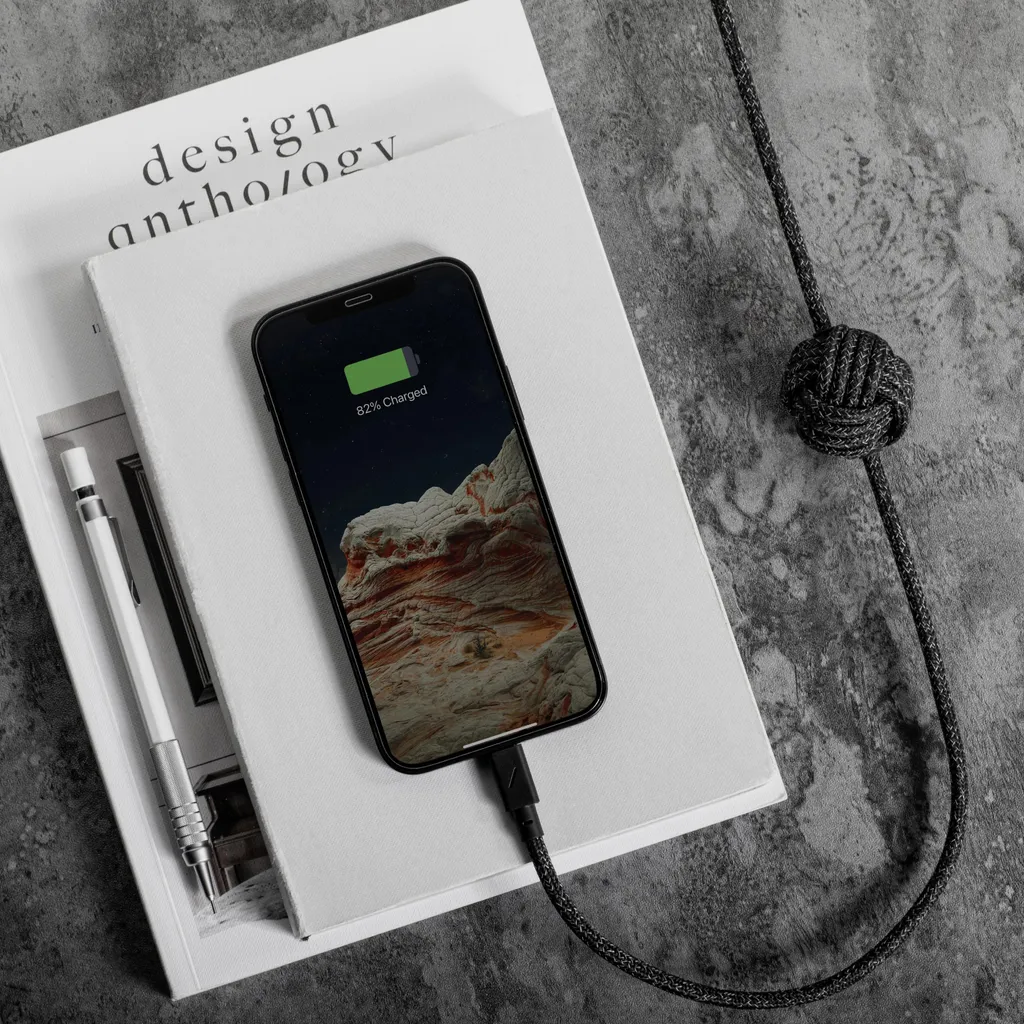 Câble iPhone 3m anti-chute Native Union Night Zebra USB-C Lightning - 4