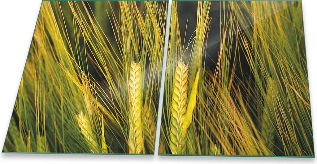 Piastra Copertura Piano Cottura in Vetro 2 Pezzi 40x52 Verde Naturale