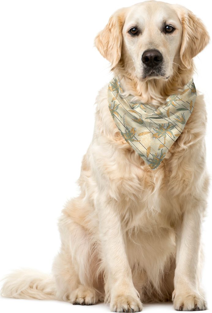 ABAKUHAUS Blumen Haustier Bandana, Blühende Blumen auf Streifen, 40x40 cm, Champagne Weises Grün