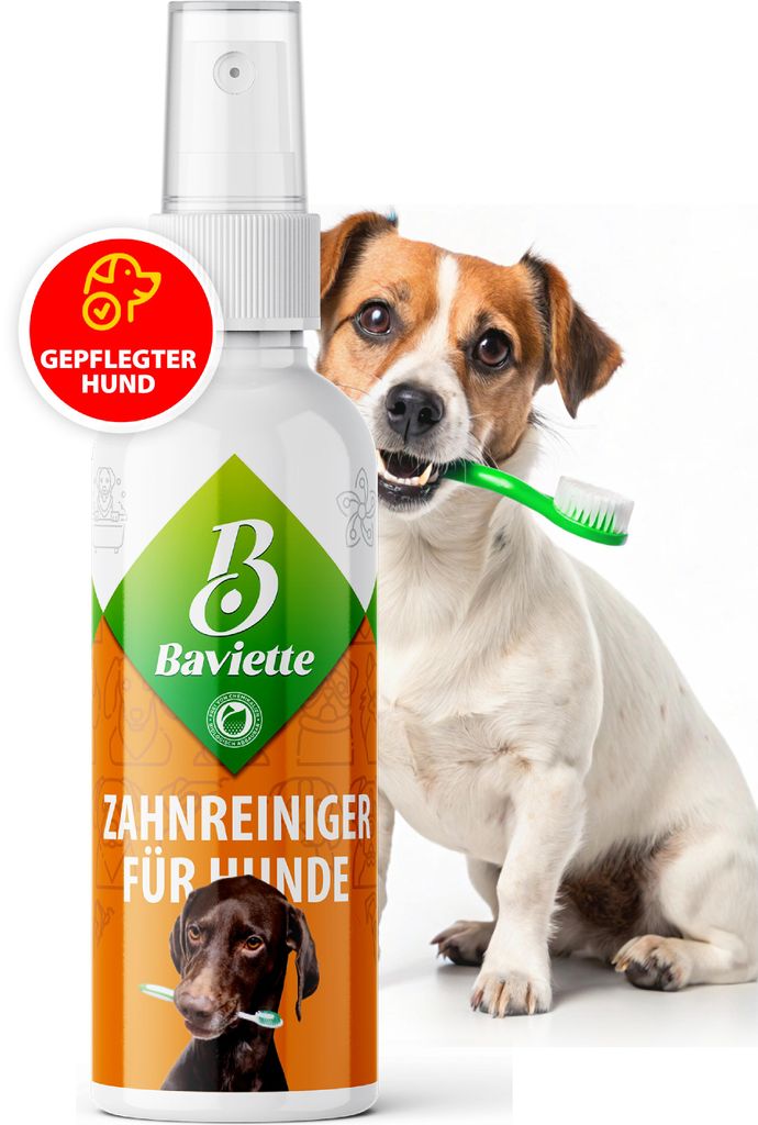 BAVIETTE Zahnpflege Spray 100 ml – bürstenfreie Maulpflege Produktbild 