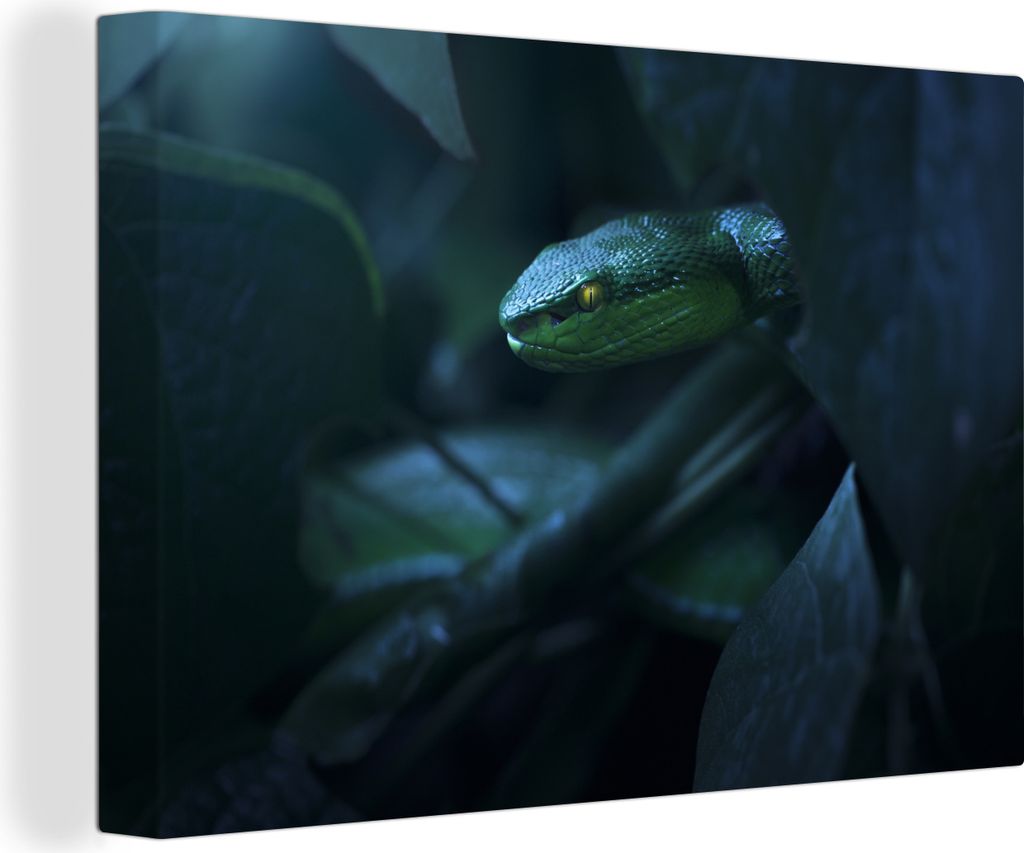 OneMillionCanvasses - Leinwandbilder - 150x100 cm, Schlange - Wald - Laub, Wandbilder Kunstdruck Wanddekoration