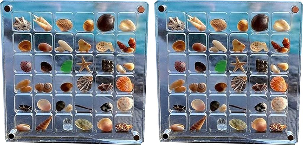 Stück magnetische Muschel-Displaybox, transparente Klassifizierungsaufbewahrung, mehrere Gitter, Seestern-Schmuckstück, dekoratives Etui, Behält...