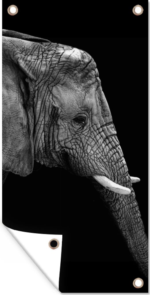 MuchoWow 40x80 cm Outdoor-Poster Gartendeko Sichtschutz Garten Poster für den Garten Elefant - Schwarz und weiß - Porträt - Tiere