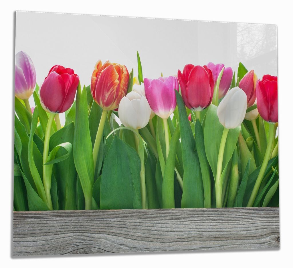 Wallario Herdabdeckplatte aus Glas, Größe 60 x 52 cm 1-teilig, Motiv Rote weiße und pinke Tulpen im Frühling