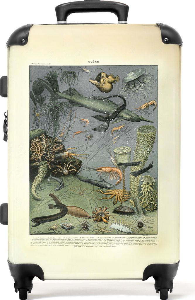 NoBoringSuitcases.com Großer Koffer - Meer - Illustration - Tiere - Natur - Vintage - Kombinationsschloss TSA - Hartschalen Trolley 4 Rollen - 7...