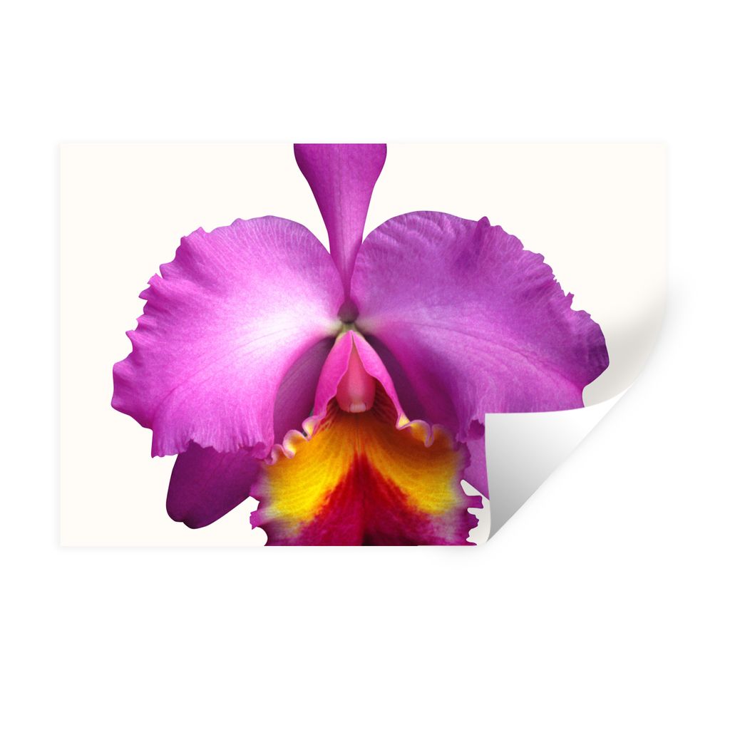 MuchoWow Wandtattoo Wandsticker Wandaufkleber Nahaufnahme Orchidee 90x60 cm Selbstklebend und Repositionierbar - Aufkleber