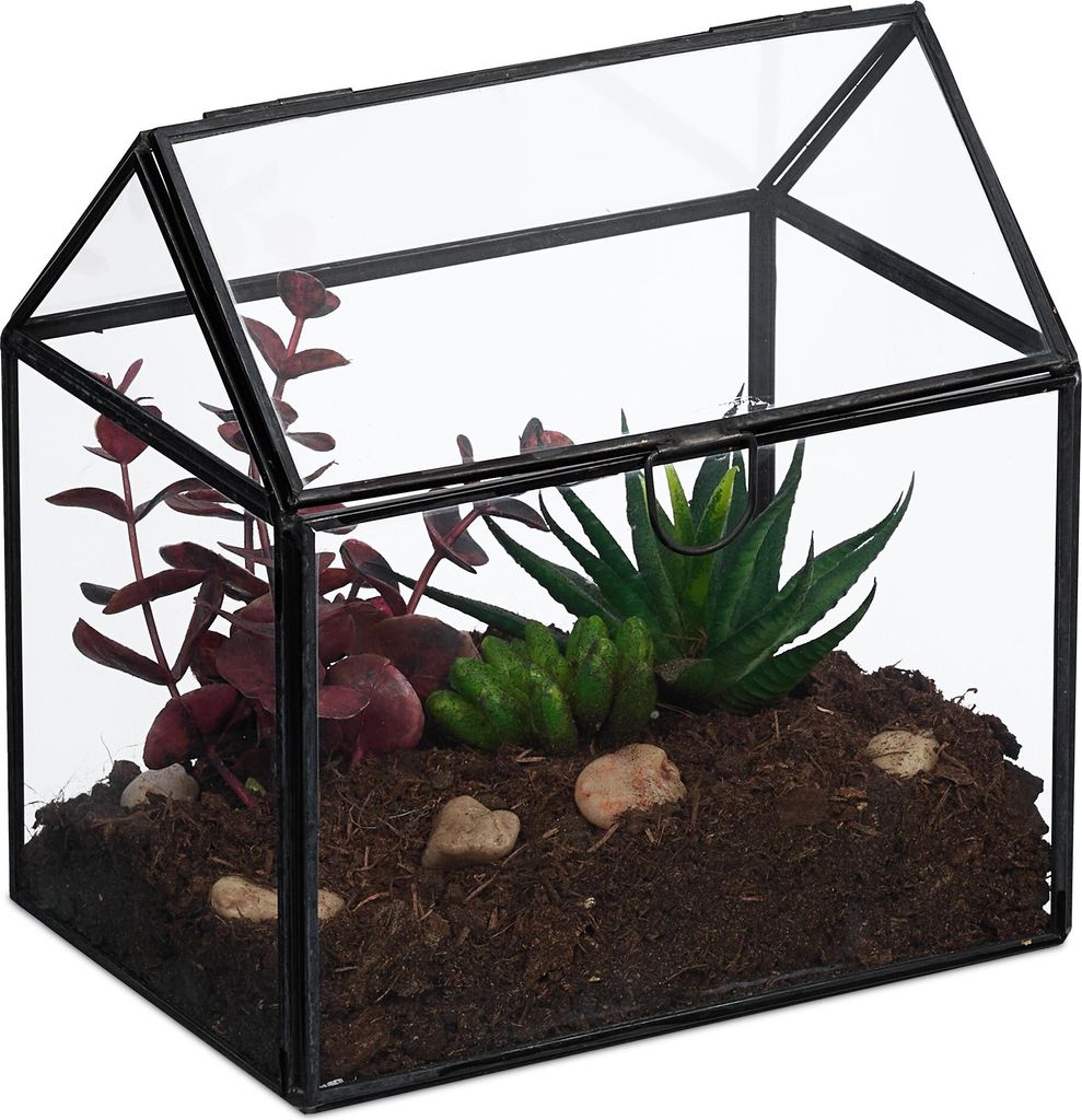 Terrarium végétal Relaxdays, verre et étain, serre Image du produit 