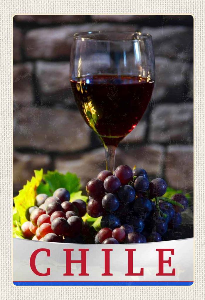 vianmo Holzschild 30x20 cm Chile Wein Trauben Tradion Bildmotiv Reisemotiv Abenteuer Reisen