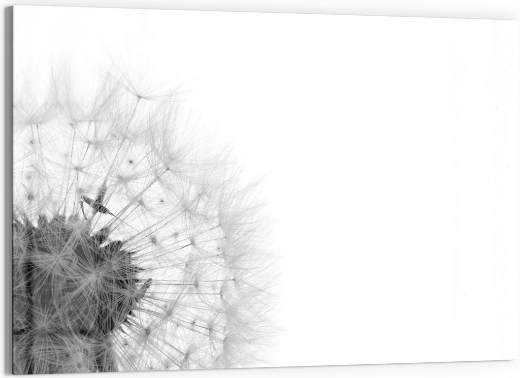 DEQORI Glasbild Echtglas 90x60 cm 'Flüchtige Schönheit' Wandbild Bild modern Deko