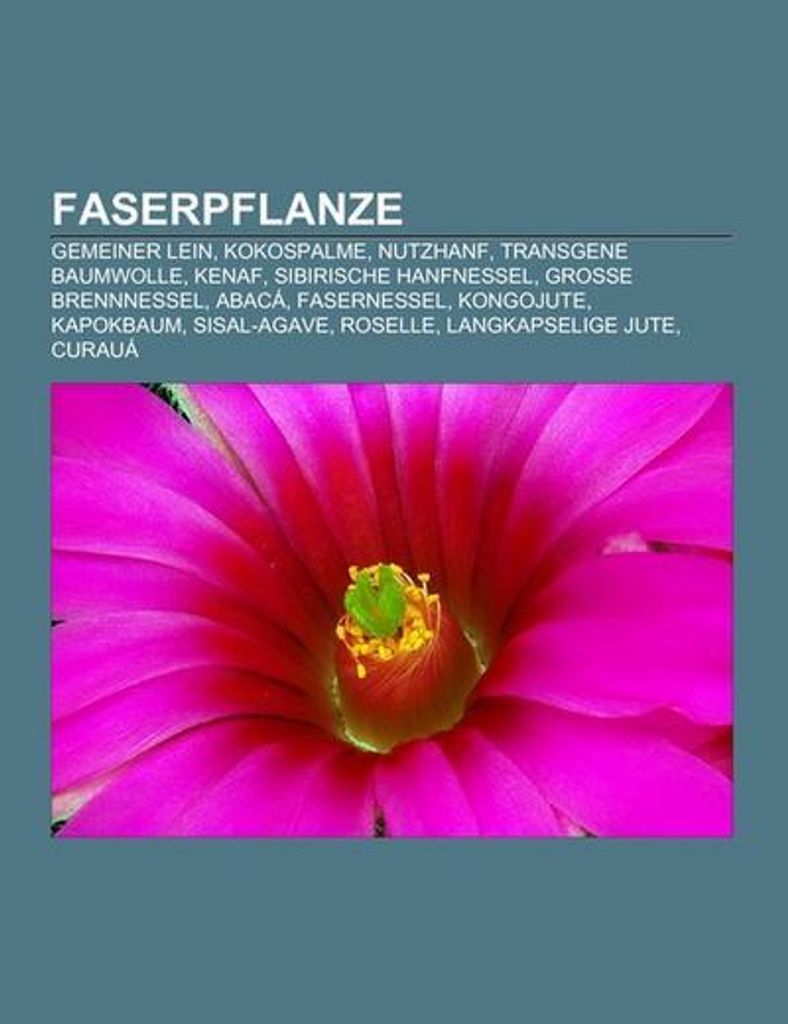 Faserpflanze