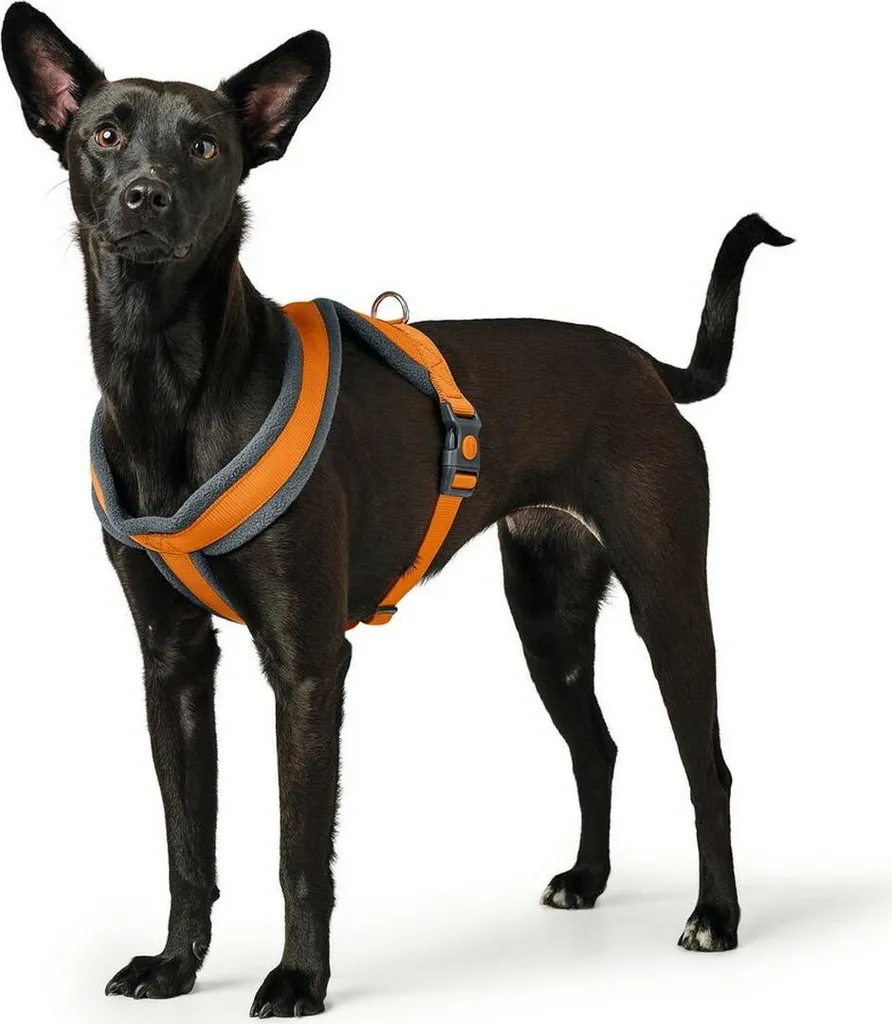 Pettorina Hunter London Comfort XS/S Arancione - Resistente e Sicura
