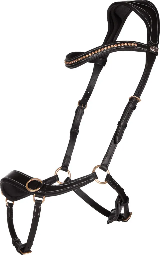Bridon sans mors QHP Anatomical QHP17 noir pour soulager la pression