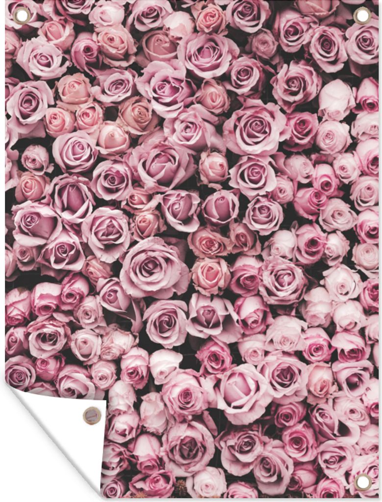 MuchoWow 90x120 cm Outdoor-Poster Gartendeko Sichtschutz Garten Poster für den Garten Blumen - Rosen - Natur - Rosa - Botanisch