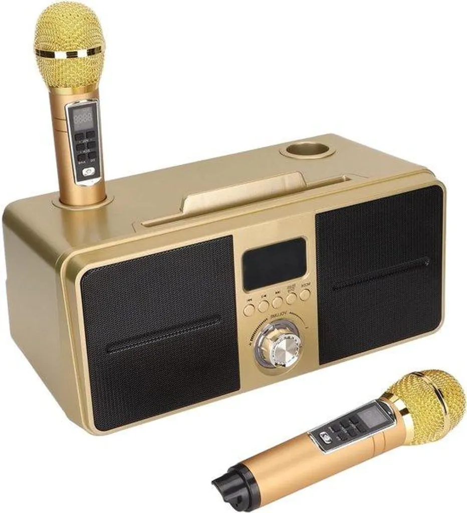 Système audio Bluetooth SD-309 haute puissance avec double micro sans fil