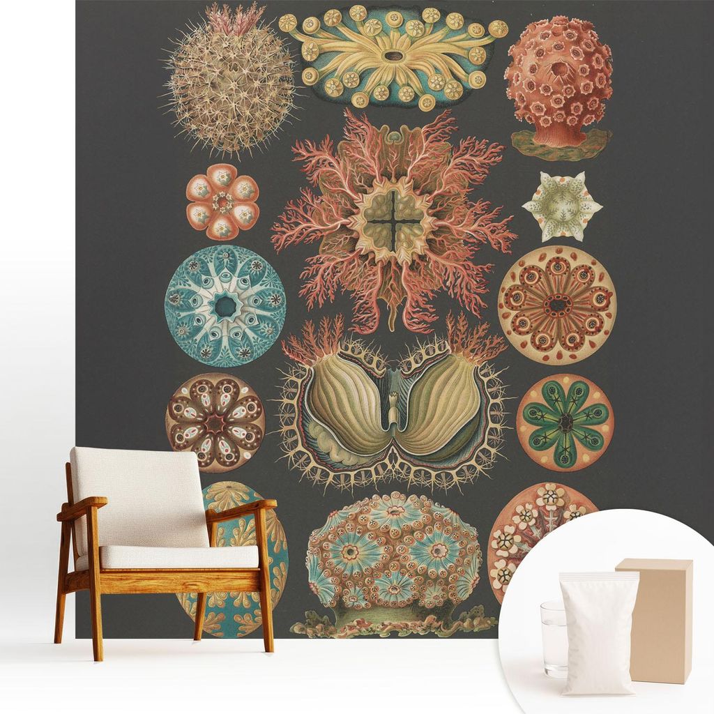 Fototapete - 250x250 cm - Tapete - Wandtapete - Wandbilder - Dekofolie - Tapete Folie - Wand - Dekoration - Wohnzimmer - Inspirationen aus dem Meer