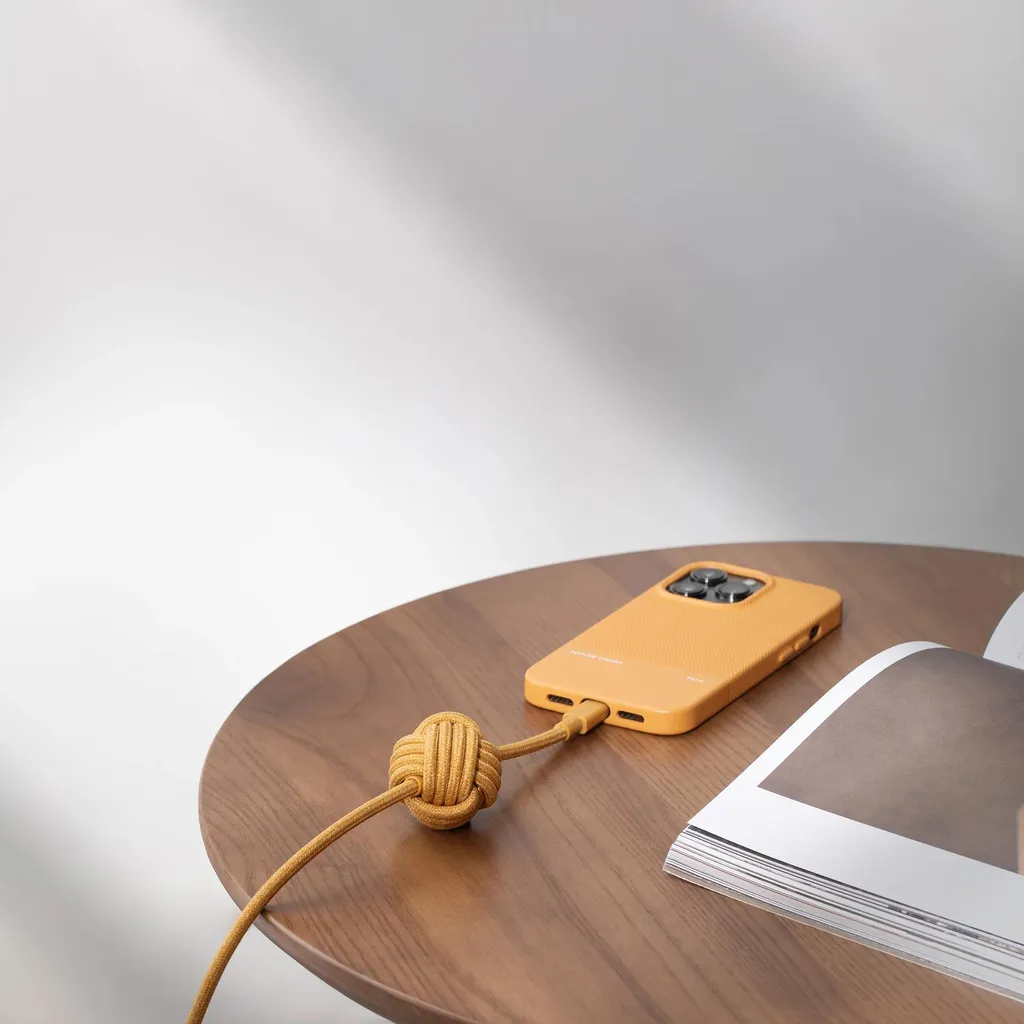 Câble iPhone 3m anti-chute Native Union Night Zebra USB-C Lightning - 7