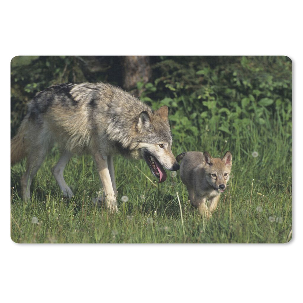 MuchoWow Mauspad Mousepad Wolf - Baby - Gras 27x18 cm - Mousepads - Maus Mat - Pad - Mausunterlage - Büroartikel - Desk Matten
