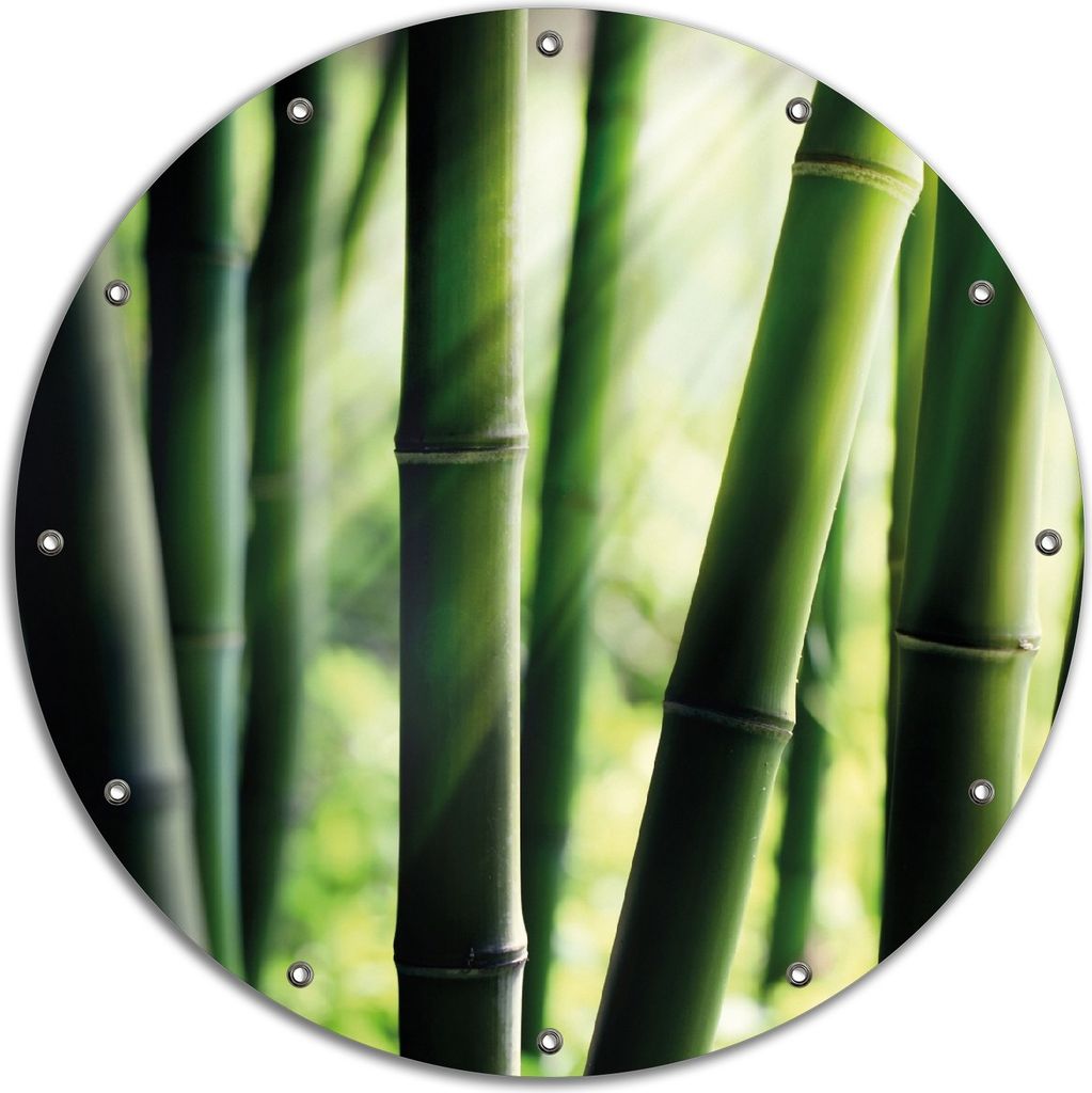 Wallario rundes Outdoor-Poster für Garten oder Balkon, Motiv Bambuswald und Sonnenstrahlen, 90 cm Durchmesser