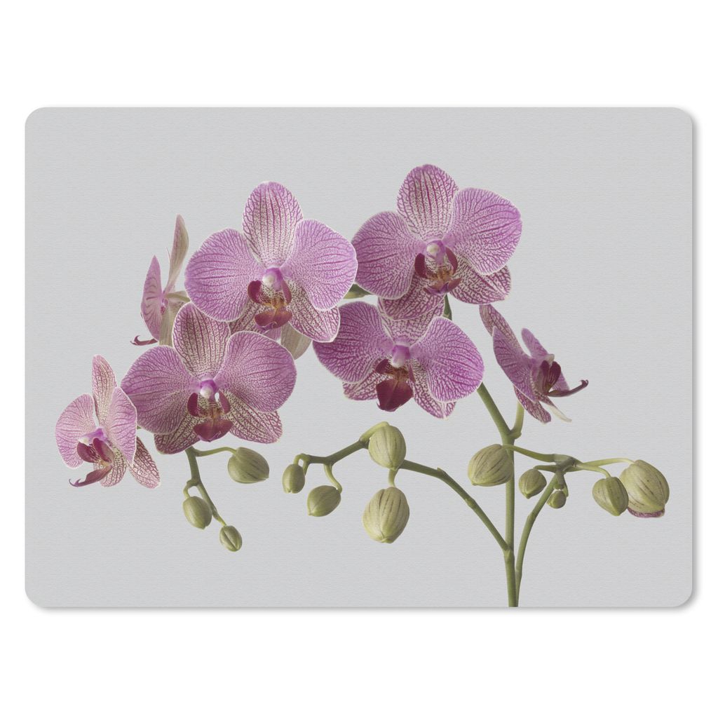 MuchoWow Mauspad Mousepad Orchideen auf grauem Hintergrund 40x30 cm - Mousepads - Maus Mat - Pad - Mausunterlage - Anti Rutsch