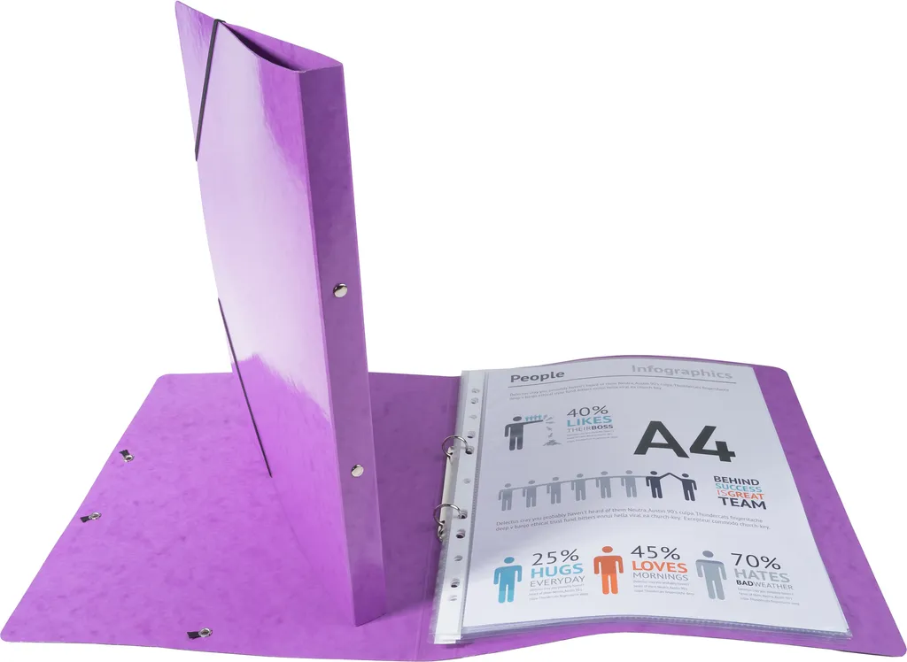 Classeur à élastiques A4 Violet Iderama pour Archivage Pro - 20 Unités
