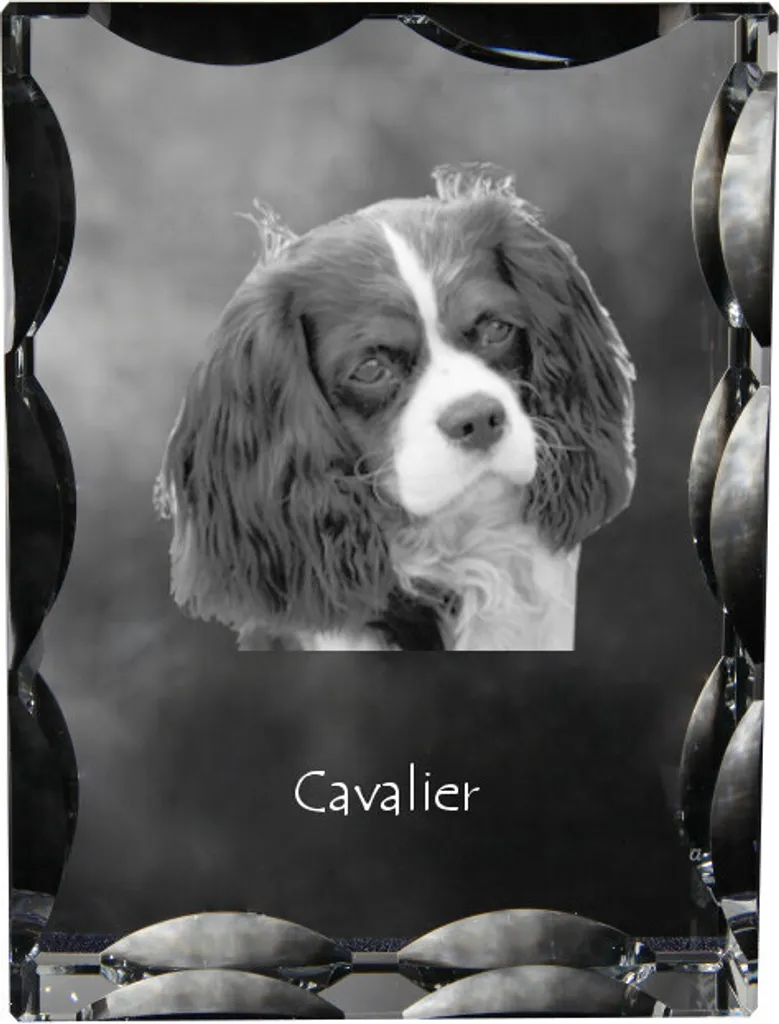 Cornice Cristallo Cavalier King Charles: Statuetta Vetro Design Art-Dog