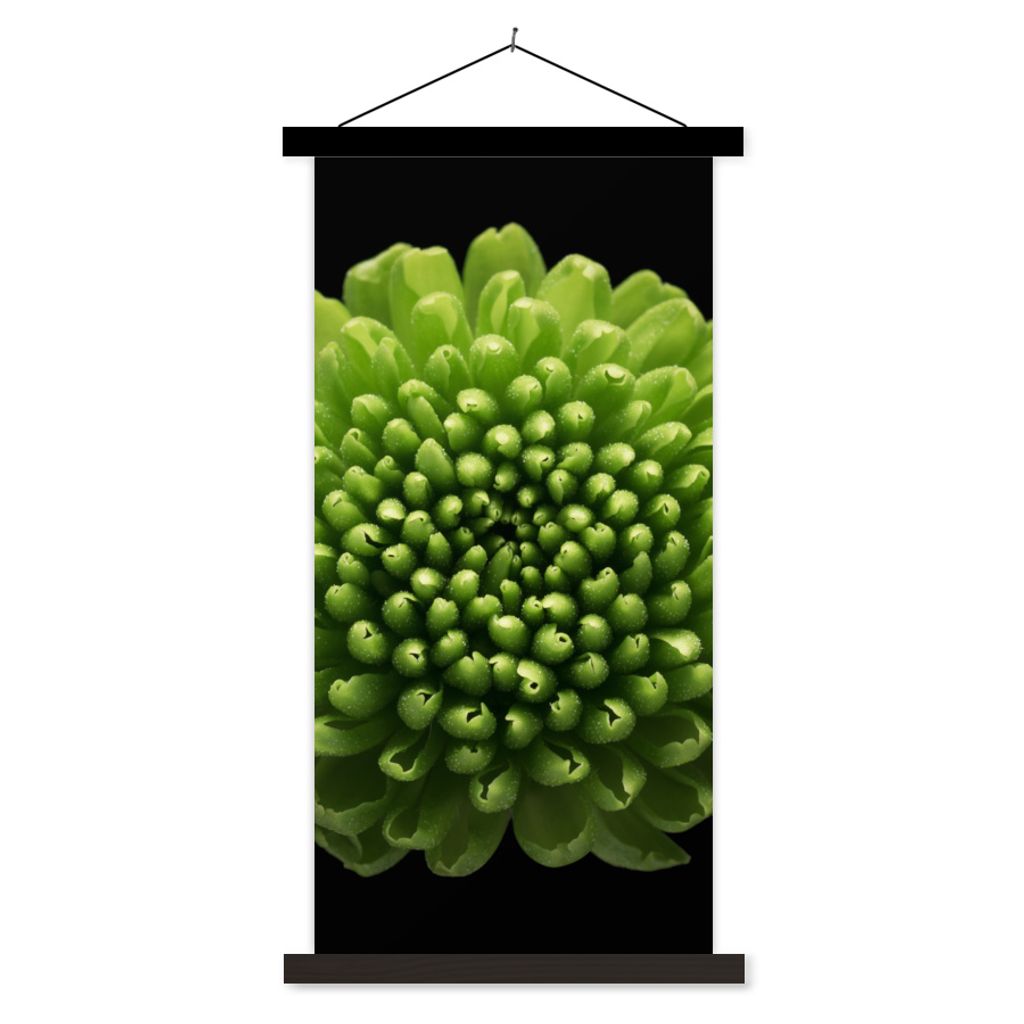 MuchoWow Textilposter Eine grüne Chrysanthemenblüte auf schwarzem Hintergrund 40x80 cm mit schwarzem Rahmen - Wandemalerei