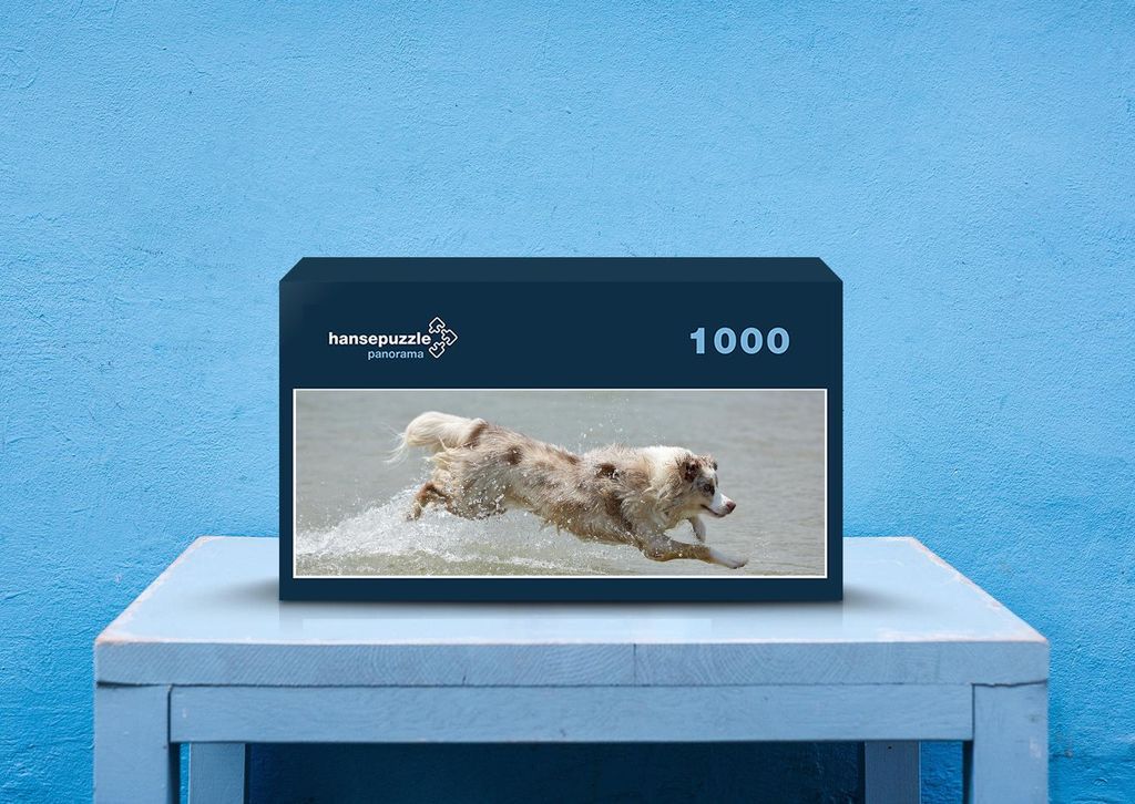 hansepuzzle 34189 - Tier Puzzle, 1050 Teile, Tierwelt, 60,0 x 46,0cm mit hochwertiger Aufbewahrung, Kartonbox und wiederverschließbarem Beutel