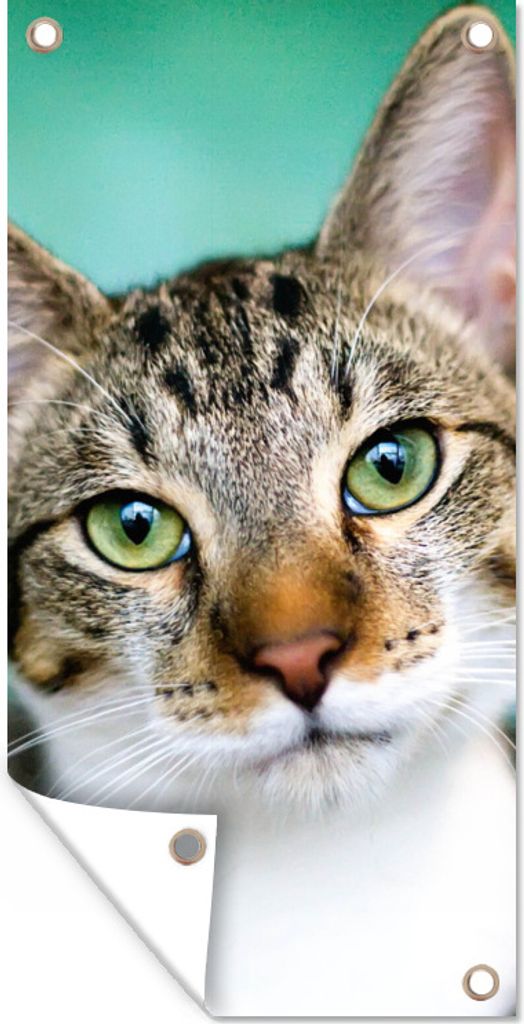 MuchoWow 40x80 cm Outdoor-Poster Gartendeko Sichtschutz Garten Poster für den Garten Katze - Porträt - Augen