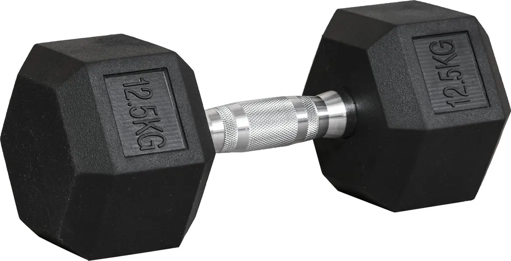 Haltère Hexagonale 12,5 kg Idéale pour le Cross Training et Fitness