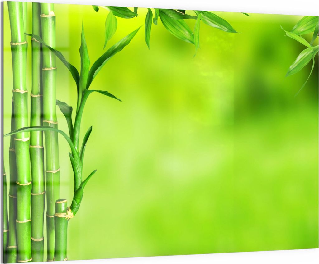 DEQORI Magnettafel Glas 120x90 cm 'Grüne Bambushalme' beschreibbar Whiteboard