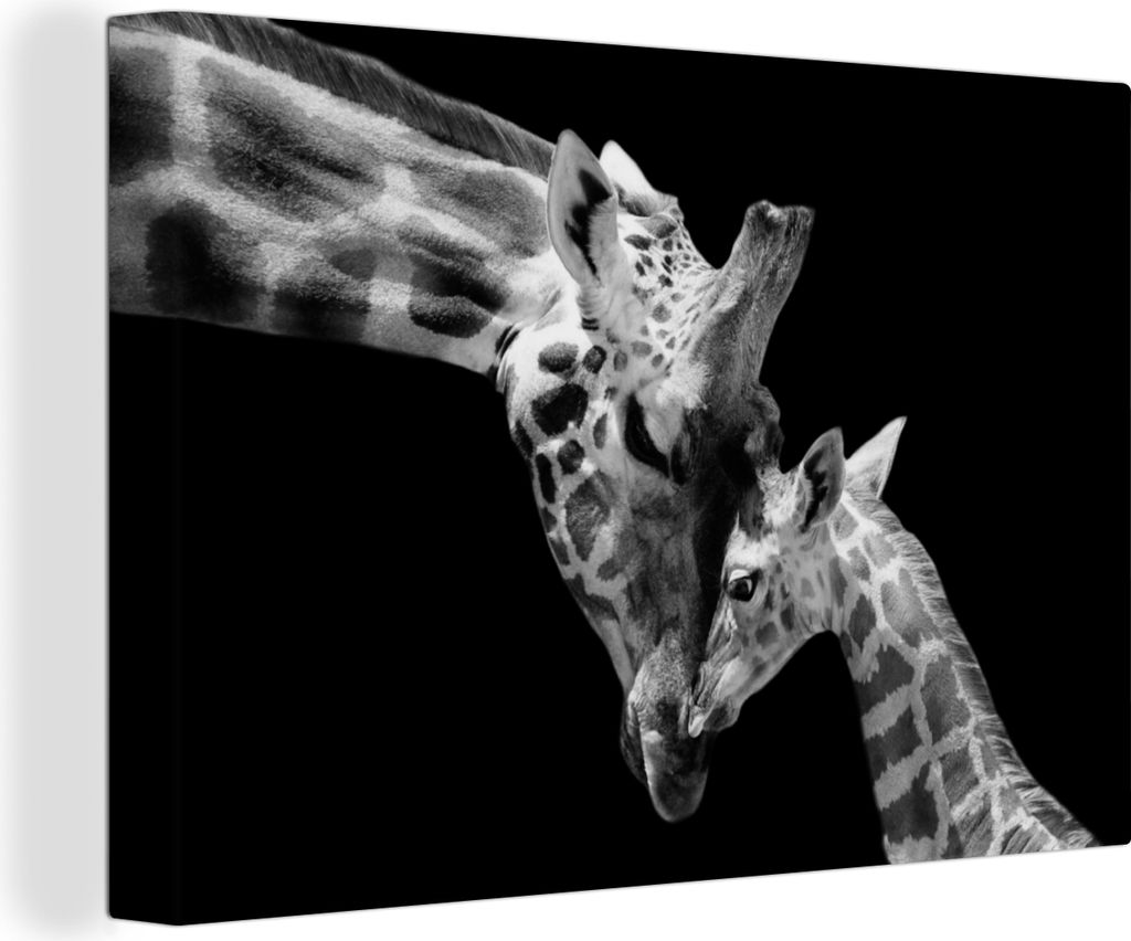 OneMillionCanvasses - Leinwandbilder - 140x90 cm, Giraffe - Wildtiere - Porträt - Schwarz-Weiß, Wandbilder Kunstdruck Wanddekoration - Foto auf...
