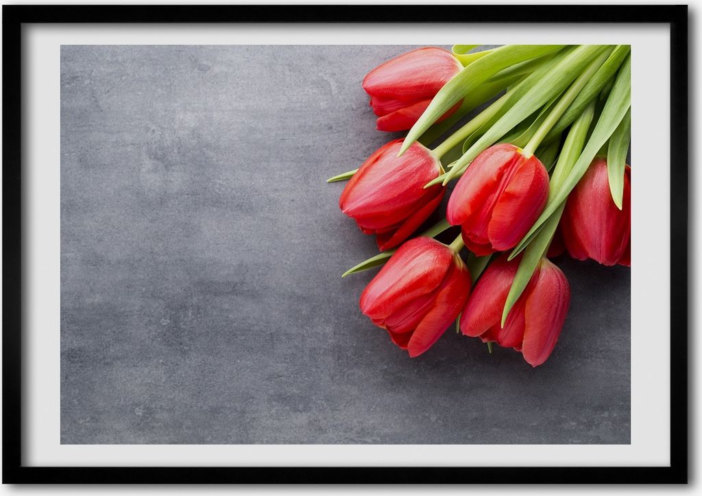 Bild - Bilder - Bilderrahmen - 70 cm x 50 cm - MDF-Rahmen, Wandkunst rote Tulpen