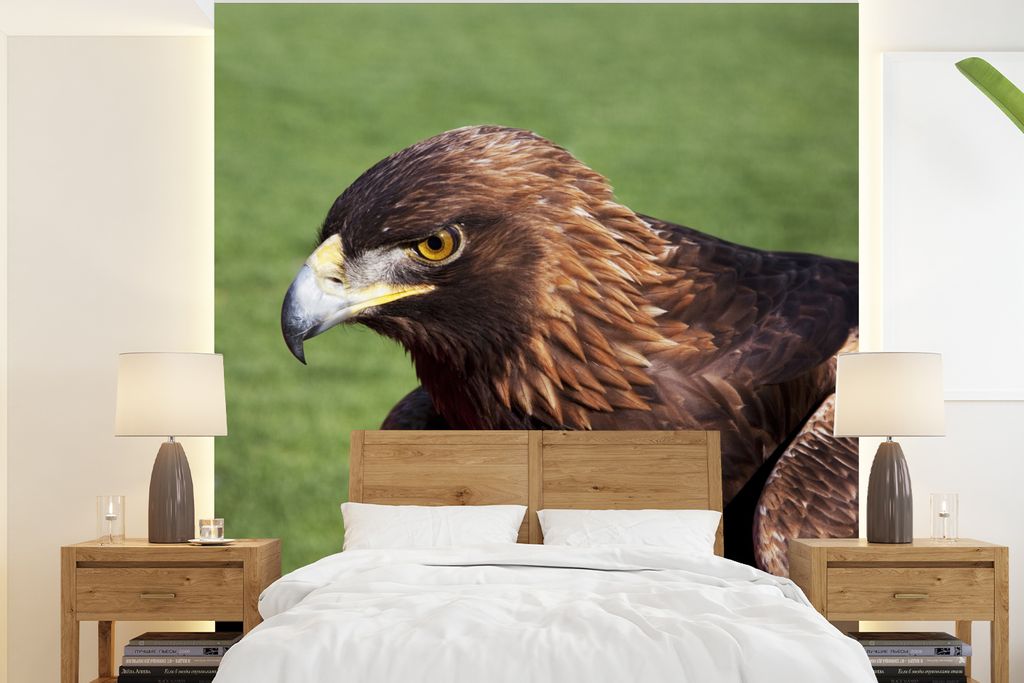 MuchoWow Fototapete für Wohnzimmer oder Schlafzimmer Wandtapete Vinyl Motivtapete Vogel - Adler - Gras - 200x220 cm - Vinyltapeten