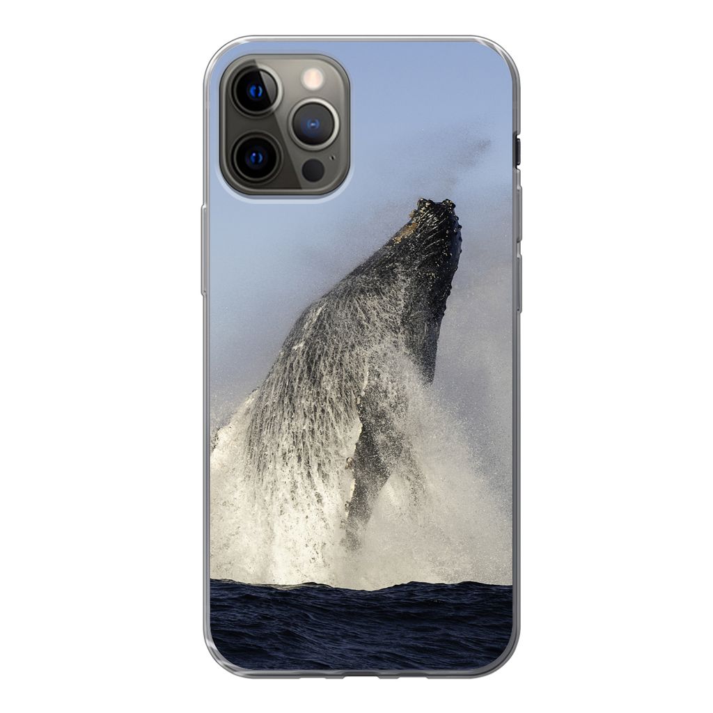 MuchoWow Handyhülle Schutzhülle Hülle für iPhone 12 Pro Wal - Wasser - Südafrika Silikon Softcase Handy Hülle - Abdeckung
